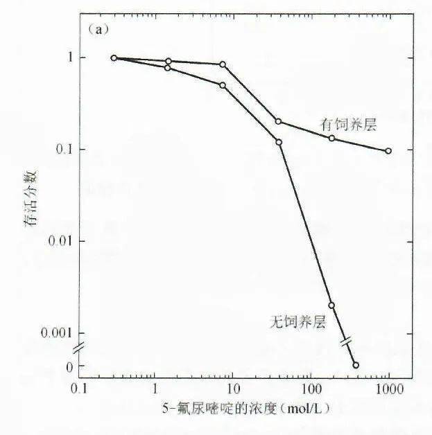 壁细胞的克隆形成实验(上)