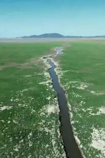 鄱阳湖已经热成了鄱阳河？