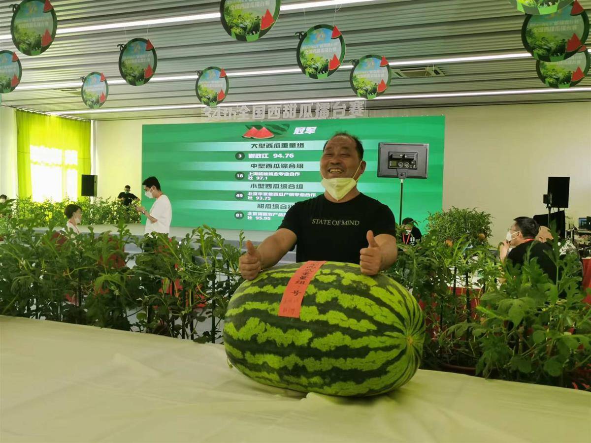 内蒙175斤重“西瓜王”卖出15.8万元高价，专家：国内还有更大的瓜