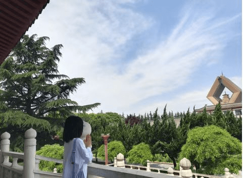 “幸福的雨”落下啦|邂逅雨中的法门寺