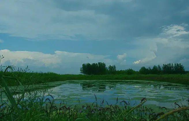 【讲水利风景区故事】红湖水利风景区：“塞北微山湖”咏出动听歌谣
