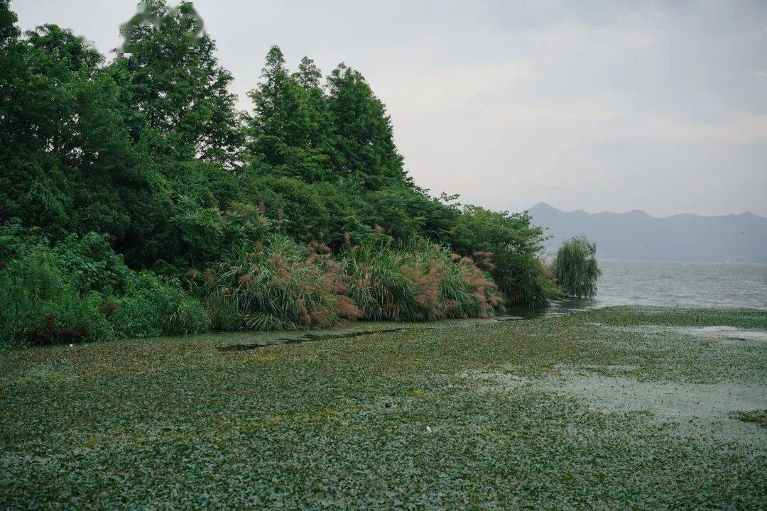 从浙江到江西｜旅途中的居心地