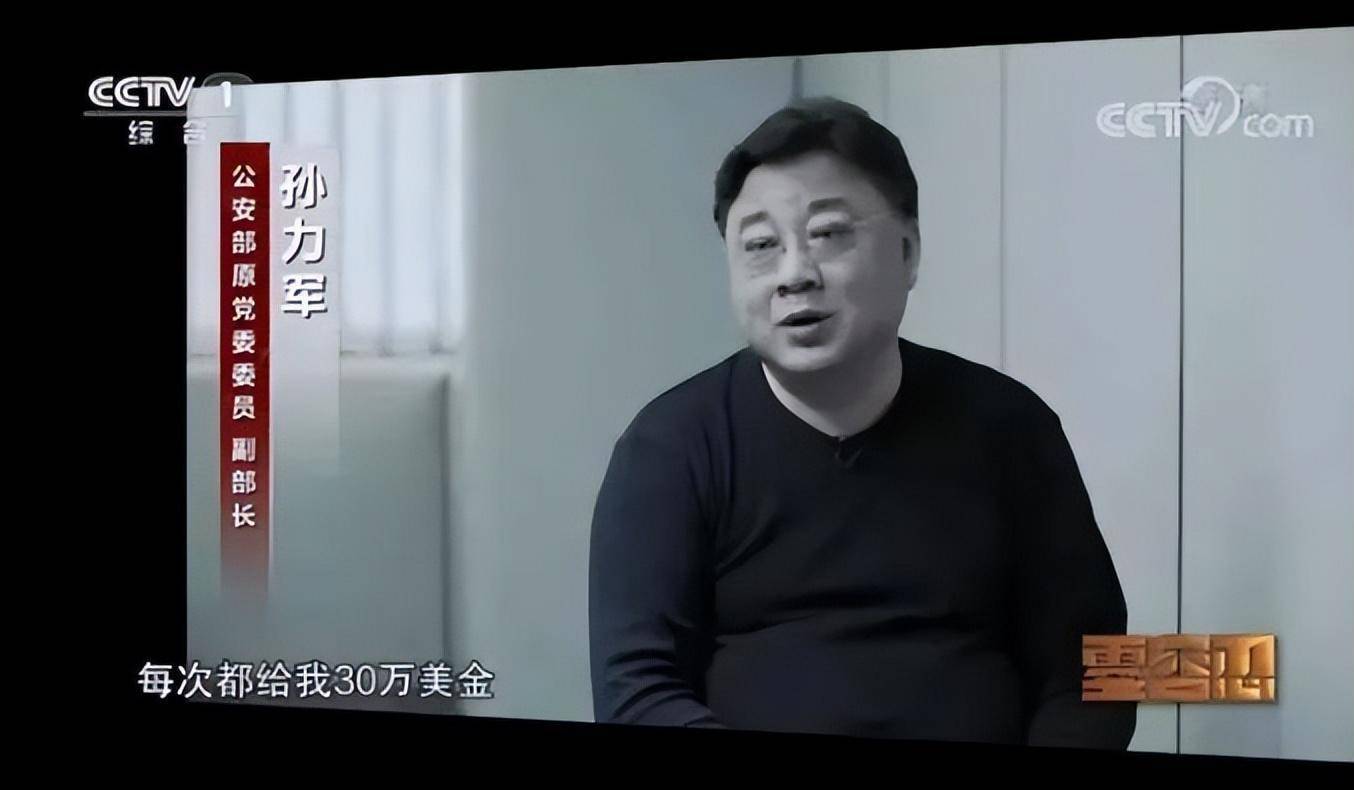 反腐电视专题片《零容忍》视频截图"孙力军政治团伙"对刘彦平的问题