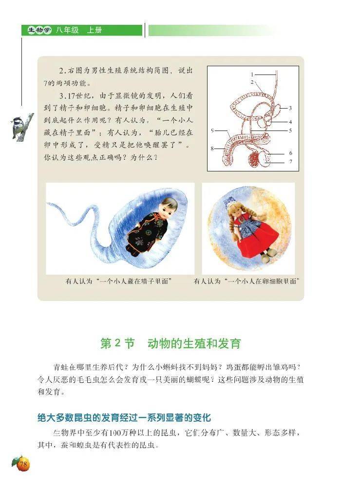 初二生物学上册电子书八上生物学北师大版电子课本北京师范大学出版社