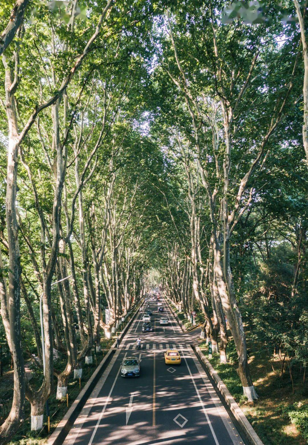 在南京，回顾这个夏天