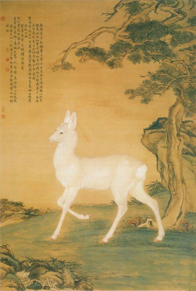 祥瑞之兆？罕见白鹿现身吉林主人：不是白化米乐M6 M6米乐病为何极其稀有？(图9)