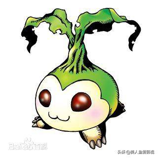 ���뱦���������ǵ������޵�һ�����뱦���ľ�����