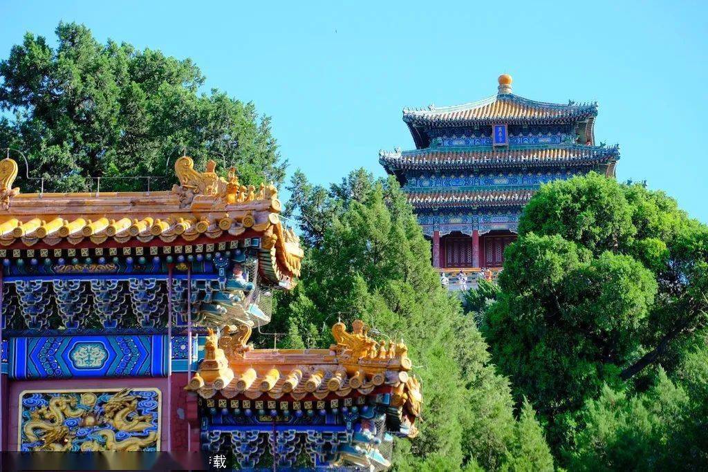 文章配图-6