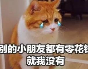 原创
搞笑段子:小姨子和姐夫是清白的!