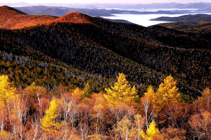 秋赏内蒙古图博勒国家森林公园