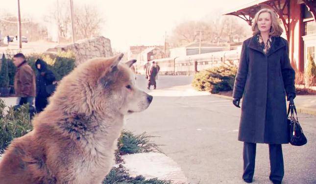 又名:秋田犬八千(港 忠犬小八(台 忠犬传奇上映日期:2009-06-13