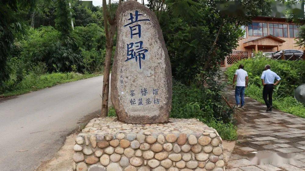 民乐镇：代表活动“走出去” 发展思路“引进来”