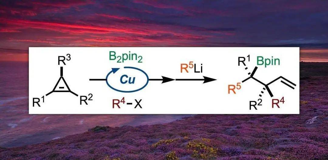 jacs:通过硼化环丙烷中间体实现非环系连续立体中心