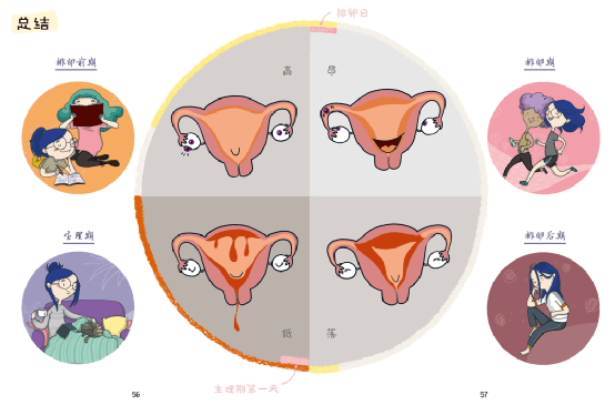 对每个青春期女孩来说，这都是一本不可或缺的书
