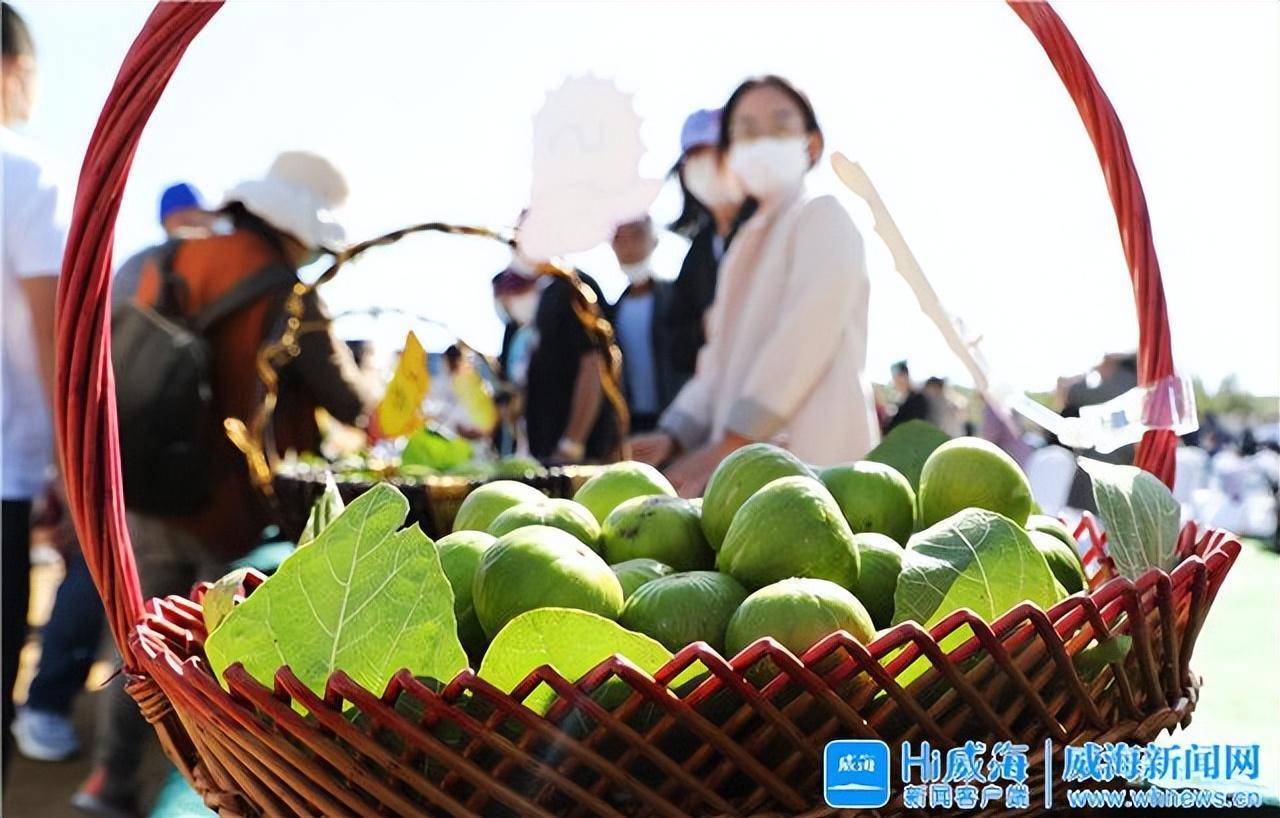 甜蜜来袭！中国农民丰收节暨2022年崮山无花果文化旅游月启动