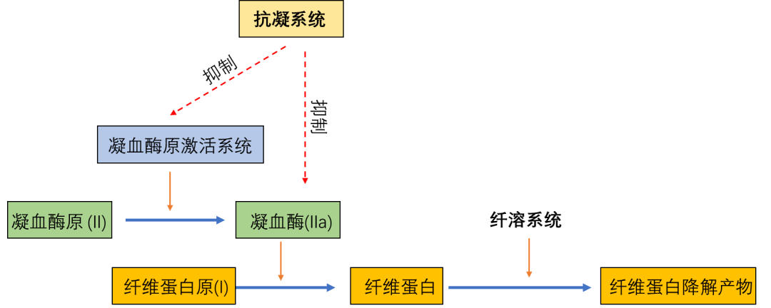 但是要提醒大家不要忘了凝血系统不是孤立存在的,它会受到抗凝系统和