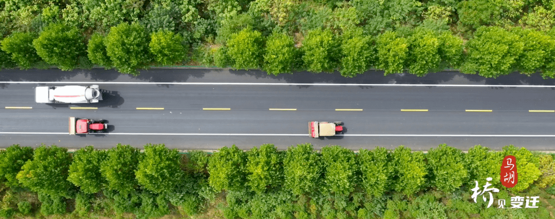 桥见变迁丨马胡桥：国省干线“老路换新颜”