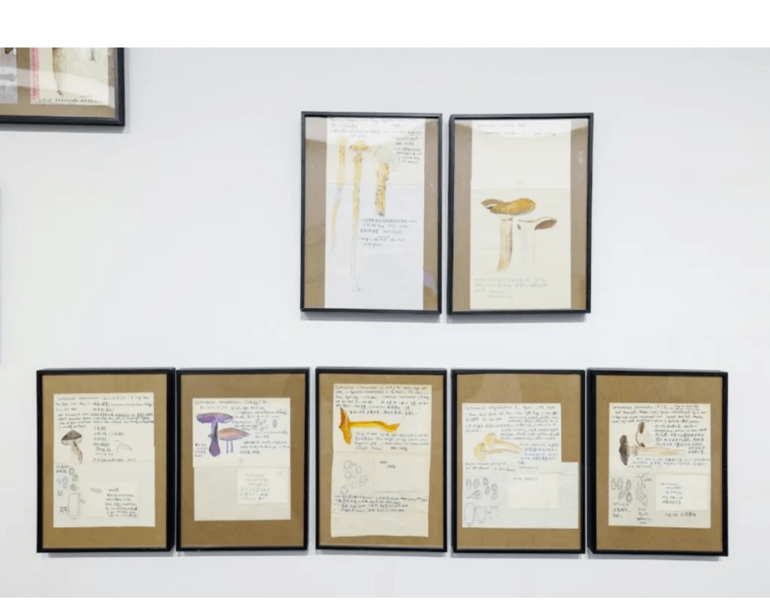 �����죺�����˶Ծ��ӵ����������Ӧ���á��ж���������