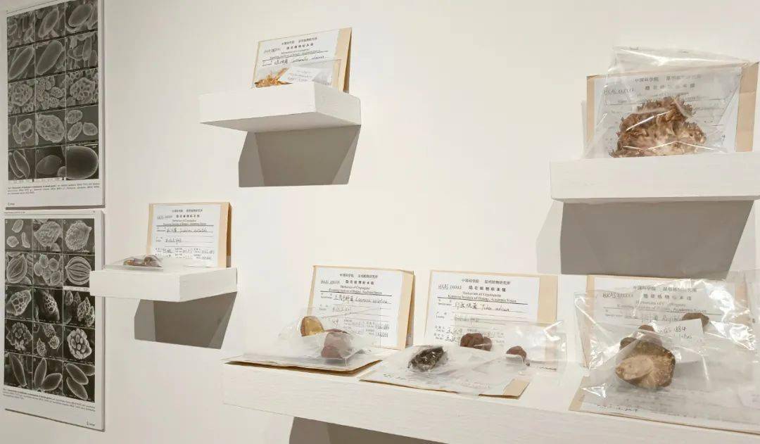 �����죺�����˶Ծ��ӵ����������Ӧ���á��ж���������