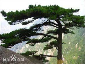 秋雨,秋台风,秋高气爽(处暑节气的天气)_我国_风力_空气