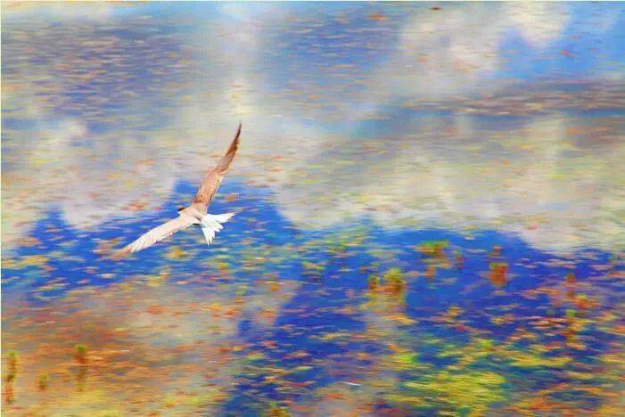 100λŵ������ѧ���޽���100����������