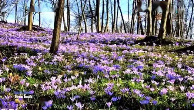 100λŵ������ѧ���޽���100����������