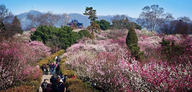 诸葛亮赞叹过的风景，数朝君王曾拜访，被誉“中华人文第一山”