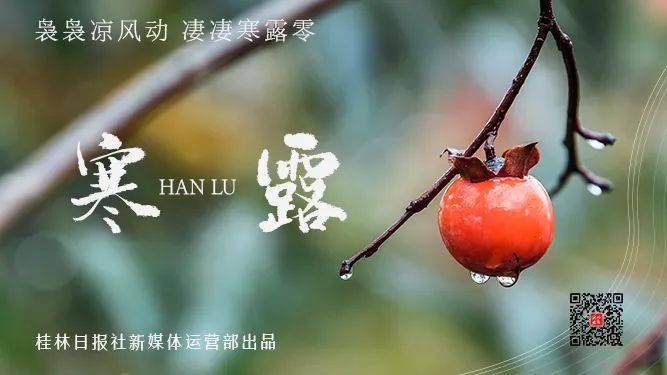 上海助孕机构有哪些（今日寒露，寒气已至！桂林人注意以下几个方面）