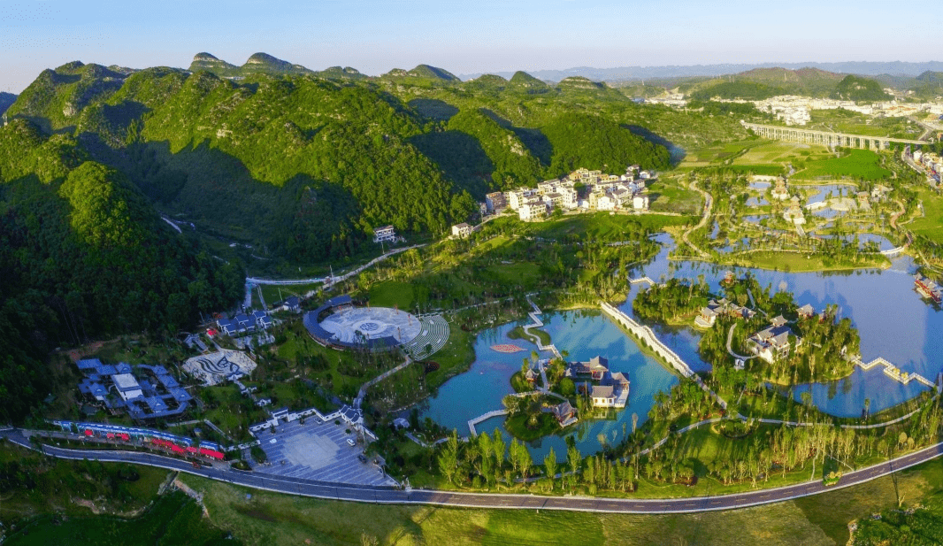 稻花乡里说丰年 | 走进粉黛花海，开启浪漫之旅