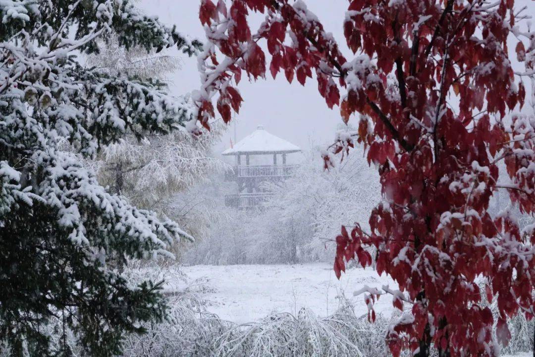 【影像】北国风光 千里冰封万里雪飘_新华社_影响_何延国