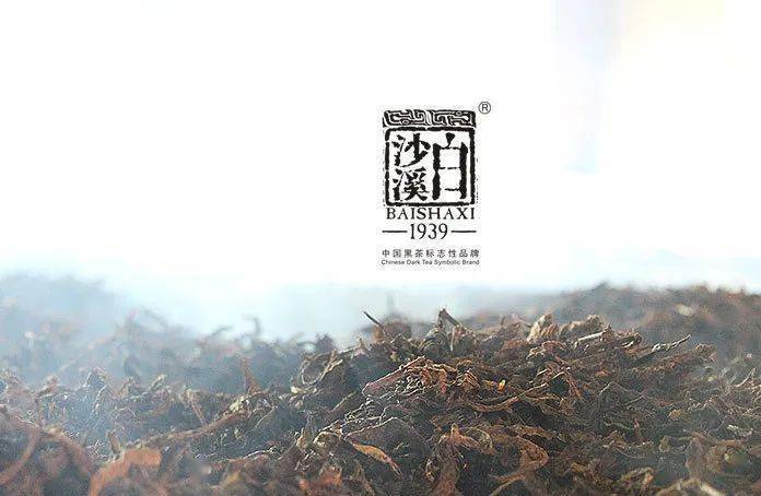 三分钟让你了解千两茶_茶叶_进行了_安化县