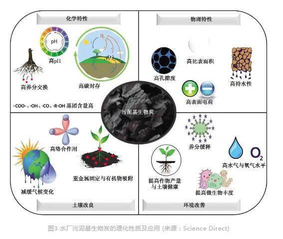 污泥基生物炭的制备技术及环境应用与研究热点_处置_资源化_我国