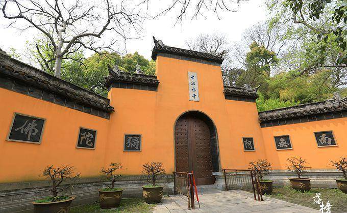 南京鸡鸣寺，南朝四百八十寺之首，每到三月这里都会樱花盛开