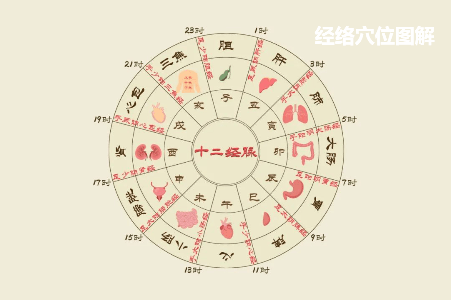 人体_养生_效果