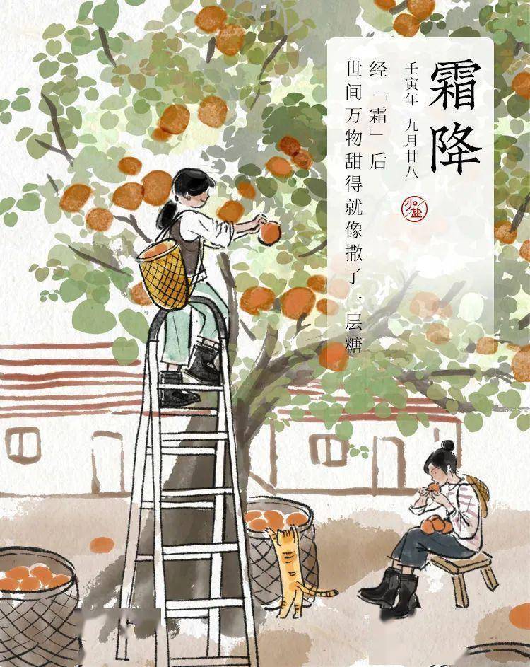上海供卵医院（霜降 | 一年一次，改善体虚体质的机会）