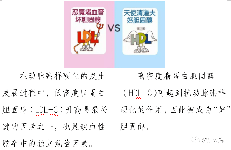 29世界卒中日】脑血管病二级预防之降脂那点事_治疗_复查_胆固醇