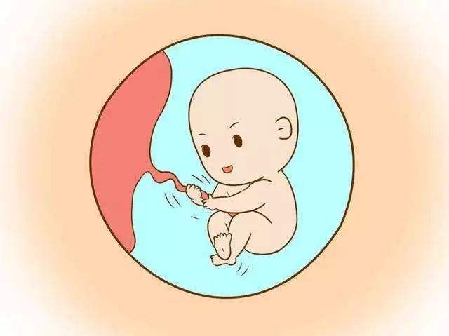 成都助孕机构哪家好（墙裂推荐）
