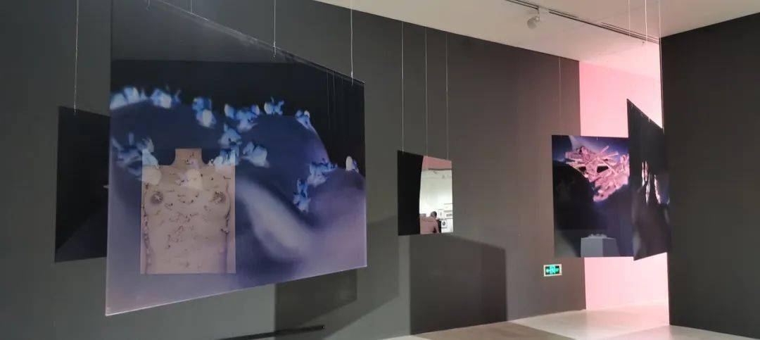 ħ��11�¿�չָ��