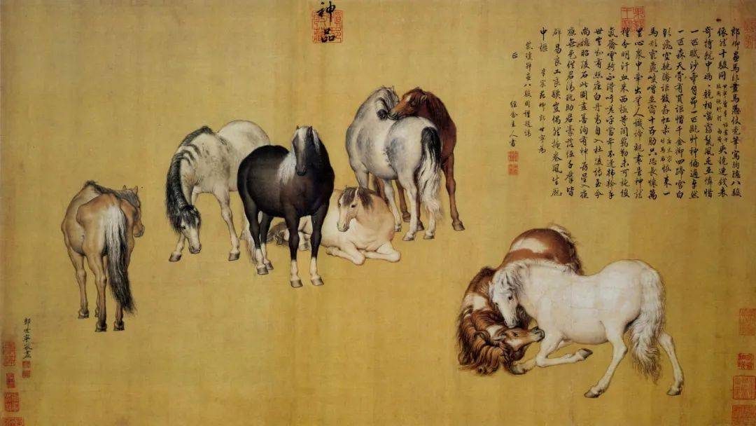 文章配图-12