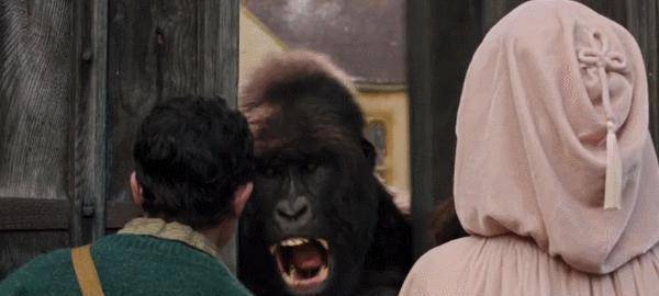 �ٵ���������֩������ֻ��һ��5.6�ֵ���Ƭ