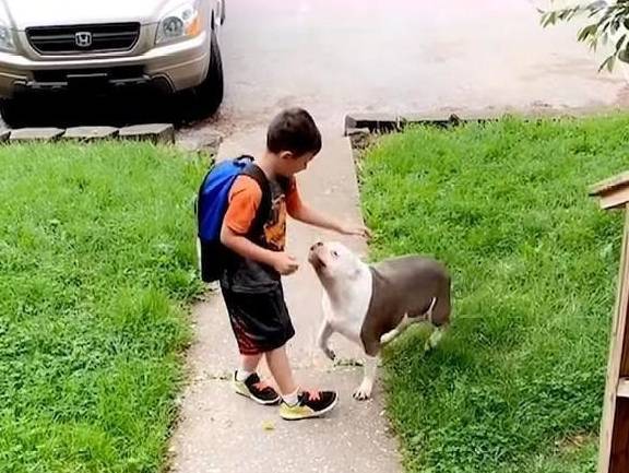 原创
  流浪狗用垃圾袋当床,这让女人很伤心,她每天都在门口等着领养 第10张 原创
  流浪狗用垃圾袋当床,这让女人很伤心,她每天都在门口等着领养 第10张