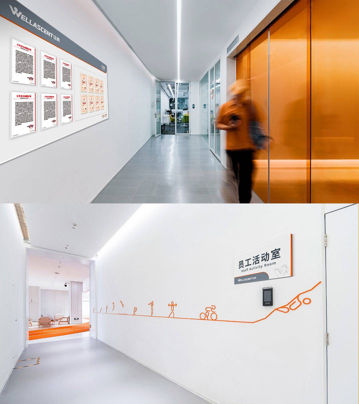 文章配图-4