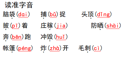 还有20天期末考，我又连夜整理了一波语数英复习提纲，助娃通关！（附资源下载）  二年级作文 第5张