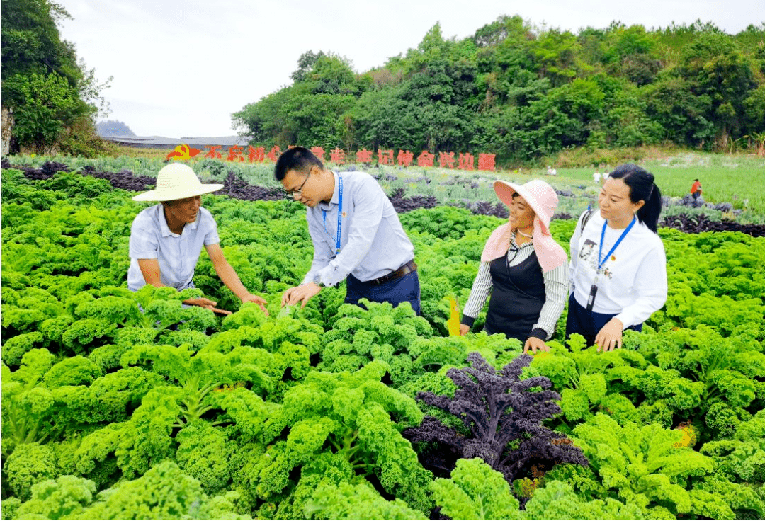 第十一期云南省纪检监察特色文化走廊巡礼之五 风清