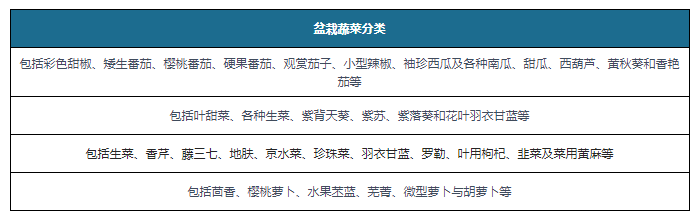 m6米乐下载我国盆栽蔬菜行业发展势头向好 未来市场需求将保持持续攀升态势(图1)