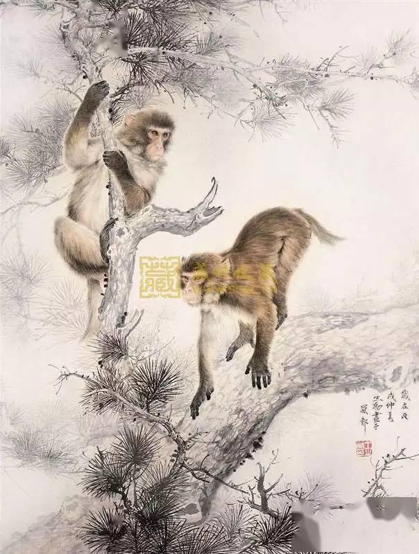 惟妙惟肖的工笔猴画，太逼真了！