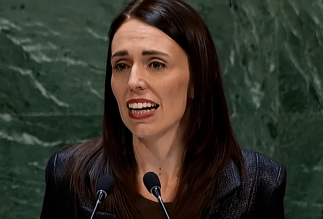 ���͡�ײ���ֳ�����䡰�ػ��ֳ������������������Ӣʽ�� ...