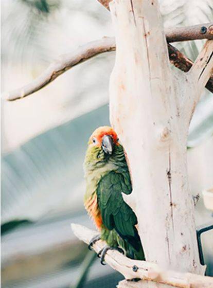 ��ҽ֮�⣺�Ž�ܶ�����������������