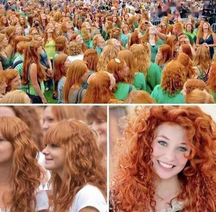 65�Ż��δ������Ƭ�����������Щ����Ľ�����̫������ ...