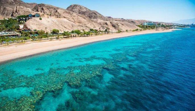 6��13��Ӧ��֮��Ү·����-��ɫ��Լ���Լ�֮��